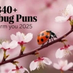 340+ Ladybug Puns 🐞 to Charm You 2025