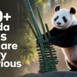 Panda Puns That Are Beary Hilarious