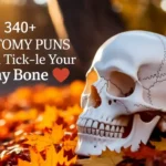 Anatomy Puns That’ll Tick-le Your Funny Bone
