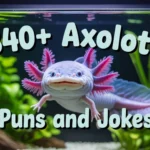 Axolotl Puns and Jokes
