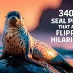 Seal Puns That Are Flippin' Hilarious