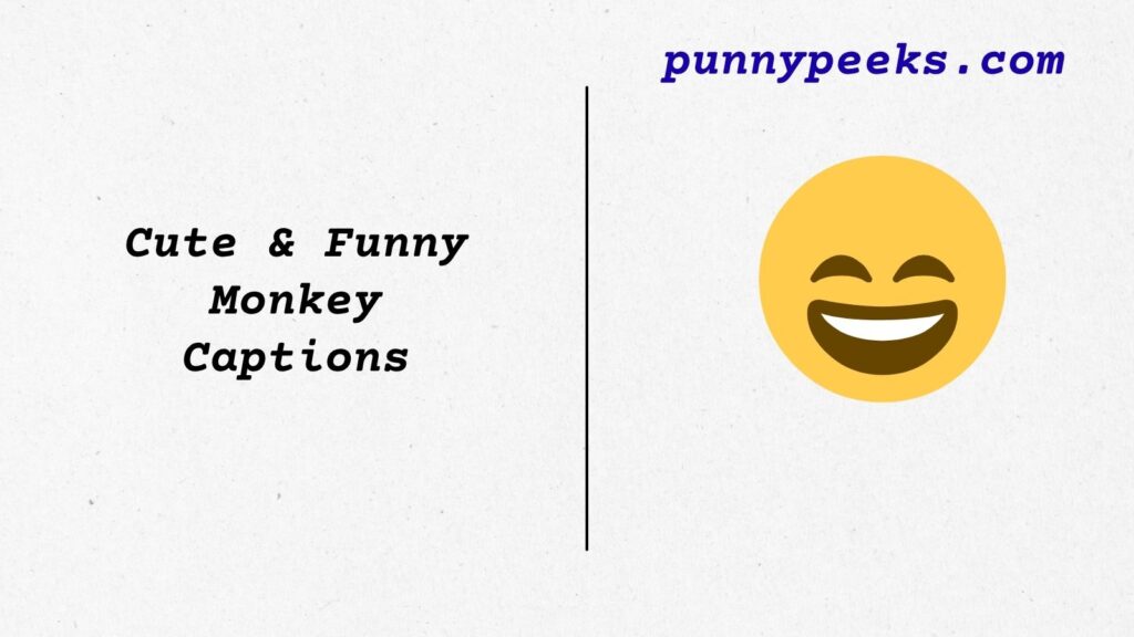 Cute & Funny Monkey Captions