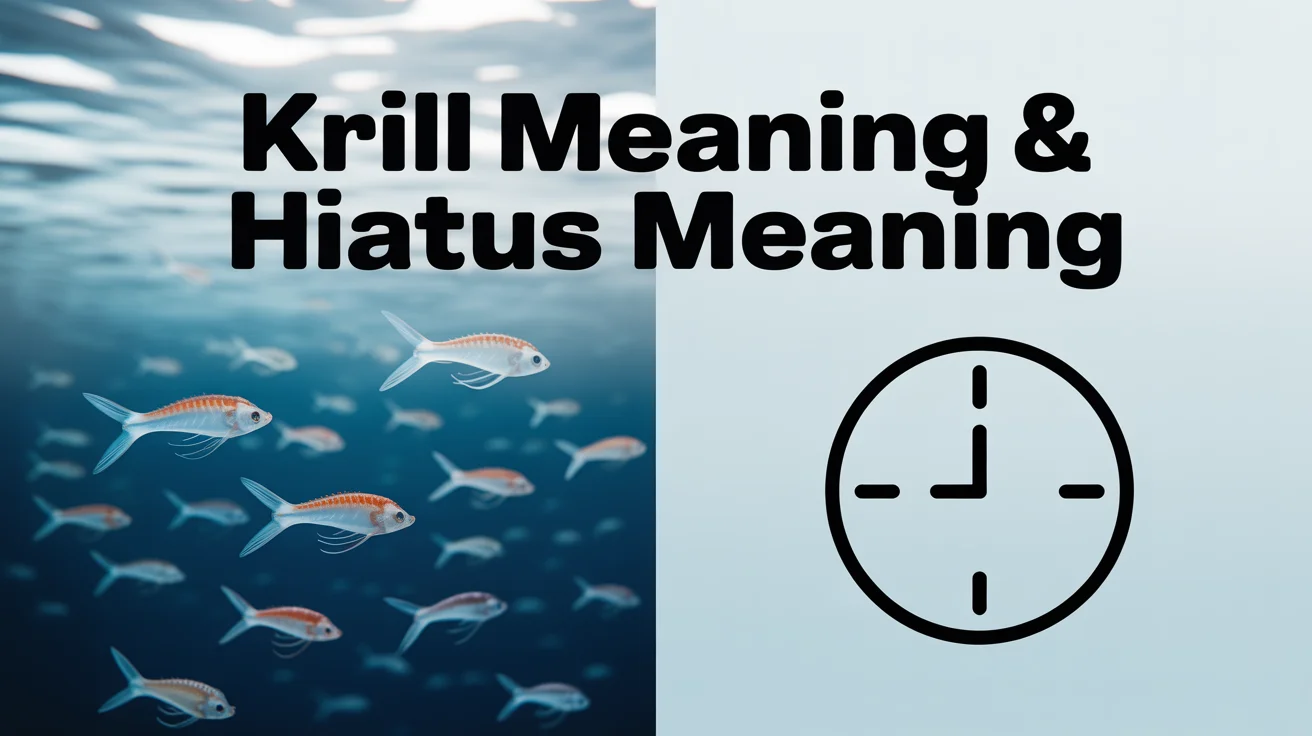 Krill Meaning & Hiatus Meaning