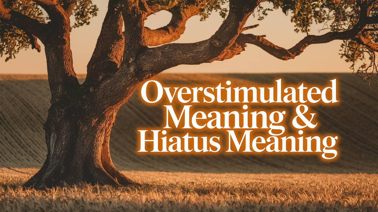 Overstimulated Meaning & Hiatus Meaning
